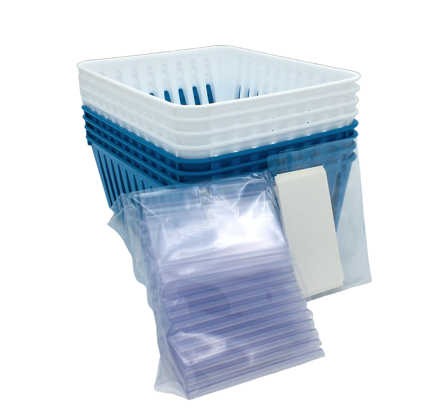 8 Storage Baskets 6.25" x 4.75" & 12 Label Holders With Cards, Blue & White